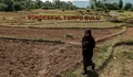Tompo Bulu di Sulawesi Selatan Dipenuhi Pesona Alam Indah, Desa Wisata yang Dicari di Masa Depan