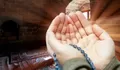 Perbanyaklah Membaca Salawat Nabi SAW di Hari Jumat, Ini Keutamaannya