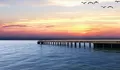 Hari Dermaga Nasional 2022, Mengingat Kembali Arti Pentingnya Bagi Perekonomian Bangsa
