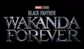 Yang Ditunggu-tunggu Pecinta Marvel! Simak Sinopsis Film Black Panther : Wakanda Forever