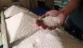 Bansos Beras 10 Kg Mulai Disalurkan, Ini Alasan Bantuan Pemerintah Tidak Cair
