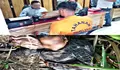 Sadis ! Pria Ini Tega Bunuh dan Membuang Mayat Pacarnya ke Kebun Tebu Tandem Hilir 