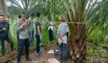 Tak Pulang Semalaman Setelah Permisi Kerja ke Ladang, Pria Lansia Ditemukan Tewas