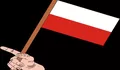 Prediksi Skor Polandia vs Kepulauan Faroe Kualifikasi Euro 2024, Polandia Belum Pernah Kalah H2H