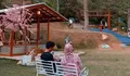 30 Menit dari Pusat Kota Bogor, Wisata di Perbukitan Ini Miliki Vibes ala Jepang