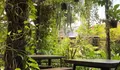 Hidden Gem Cafe di Bogor, Serasa Ngopi di Tengah Hutan, Cuma 30 Menit dari Stasiun Bogor