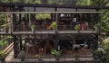Hidden Gem Cafe di Bogor, Bergaya Industrial Minimalis Punya Pemandangan Alam Eksotis