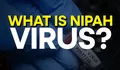 Setelah Covid-19 Kini Muncul Virus Nipah yang Membuat Dunia Khawatir, Berikut Gejala dan Penularannya