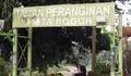 Bersantai Murah Meriah di Taman Peranginan yang Hanya 2 Menit dari Istana Bogor