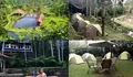 Wisata Populer di Purwakarta, Ini 4 Lokasi Camping Para Pecinta Alam