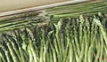 Resep Makanan Sehat untuk Ibu Hamil: Asparagus Panggang yang Kaya Asam Folat, Cobain Moms!