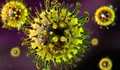 Disebut Lebih Mematikan dari Covid-19, Apa Itu Virus Nipah yang Kembali Muncul di India?