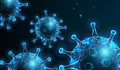 Kemenkes Perkuat Karantina Kesehatan Cegah Penyebaran Virus Nipah di Pintu Masuk Indonesia