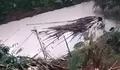Diduga Keracunan, Ribuan Ikan Mabuk Mengambang di Sungai Cisadane, Warga Berbondong-bondong Turun ke Sungai