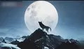 Apa itu Wolf Moon? Inilah Fenomena Alam Memukau yang Muncul Pada 3 Januari 2026