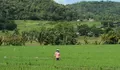 7 Alasan Desa Wisata Krebet Bantul di Yogyakarta Menarik Dikunjungi, Ada Kerajinan Batik Kayu sampai Prestasi Nasional
