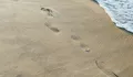Pantai Nanggelan Jember di Meru Betiri, Hamparan Pasir Cappuccino dengan Gugusan Karang dan Alam Hutan Lindung