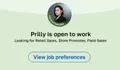 Pasang Iklan Cari Kerja di LinkedIn, Inilah Deretan Tawaran Pekerjaan yang Diterima Prilly Latuconsina