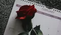 10 Ucapan Welcome Februari 2026 untuk Awal Bulan, Bisa Dipakai di WhatsApp, Instagram, dan Caption Harian