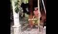 Remaja Mengamuk Minta Motor Ninja Viral di Medsos, Sorotan pada Pola Asuh dan Pengendalian Emosi