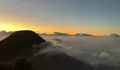 Menjelajah Gunung Gede, Pesona Savana Suryakencana hingga Puncaknya yang Megah