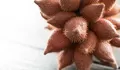7 Manfaat Buah Salak bagi Kesehatan, Si Buah Eksotis dengan Segudang Khasiat