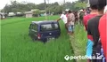 Diduga Sopir Mengantuk, Mobil Masuk Sawah di Trucuk Klaten, Evakuasi Kendaraan Kerahkan 30 Orang