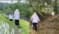 Viral Perjuangan Guru di Padang Pariaman saat akan Mengunjungi Rumah Siswa, Jalan Lewati Pematang Sawah hingga Naik Bukit