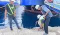Dermaga Gunungsitoli Diperbaiki, Pelindo Optimistis Segera Siap Operasi
