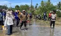 Wali Kota Tinjau Banjir Tanjung Jaya, Warga Minta Sungai Bengkulu Dilakukan Normalisasi