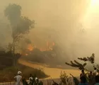 Kebakaran Lahan di Kampar Ternyata Milik Pensiunan PNS