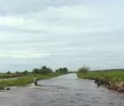 Bandar Narkoba Ditangkap Saat Duduk di Warung