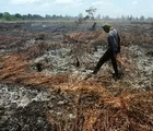 Perketat Syarat Calon Independen, ini Penjelasan Komisi II DPR