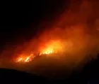 Gubri Minta Bupati dan Wali Kota Cegah Karhutla