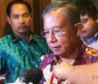 Menko Tak Ingin Kelapa Sawit Tinggal Kenangan