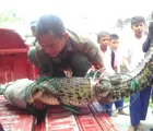 Buaya Peliharaan Lepas Hebohkan Warga