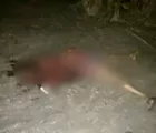 Dalam Hitungan Jam, 2 Bandit Sadis yang Gorok Leher Petani di Inhil Hingga Tewas