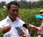 Jurus Mentan Amran Kerek Naik Harga Karet