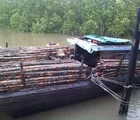 Polda Riau Amankan Kapal Pengangkut Ribuan Kayu Bakau Selundupan