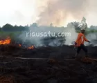 Kebakaran Lahan di Riau 1000 Hektare Lebih
