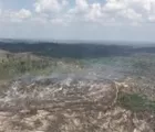 80 Hektar Lahan TNTN Terbakar, Diduga Dilakukan OTK