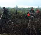 Danrem 031/Wirabima Tinjau Lokasi Karhutla di Bengkalis