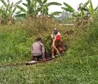 Didampingi Kapolres, Bupati Rohil Turun Langsung ke Lokasi Karlahut