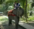 Wow.., Kapolsek Cantik ini Nekat Naik Gajah