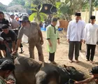 62 Hewan Kurban Dipotong Polda Banten