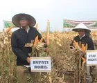 Telah Disahkan, Bupati Suyatno Minta Perda Alih Fungsi Lahan Dijalankan dengan Baik
