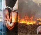 Terus Diburu, Pelaku Pembakaran TNTN