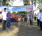 Lanud Roesmin Nurjadin Bagikan 2.300 Kantong Daging Kurban