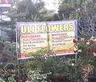 Uli Flowers Terima Pembuatan dan Perawatan Taman Hias
