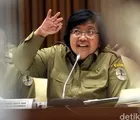 Menteri LHK: 2 Perusahaan Sedang Disidik Terkait Kebakaran Hutan di Riau